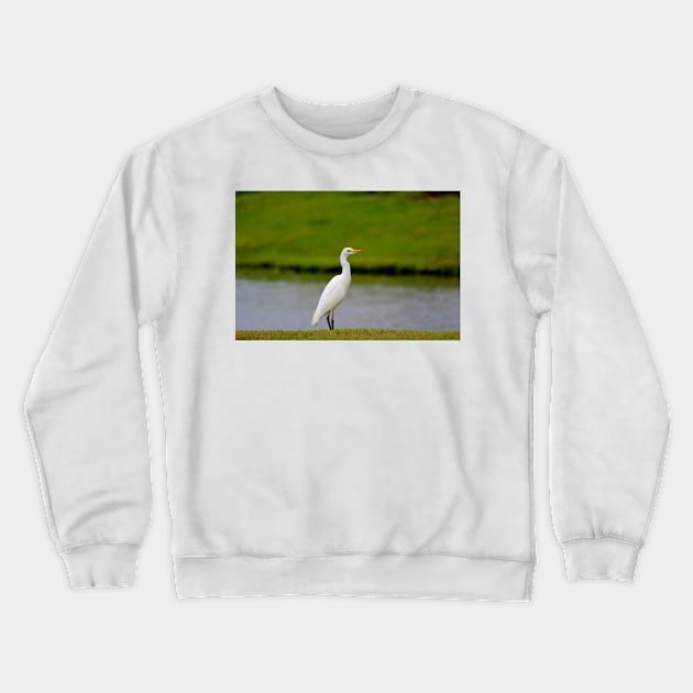 Standing Along The Edge Crewneck Sweatshirt by Cynthia48